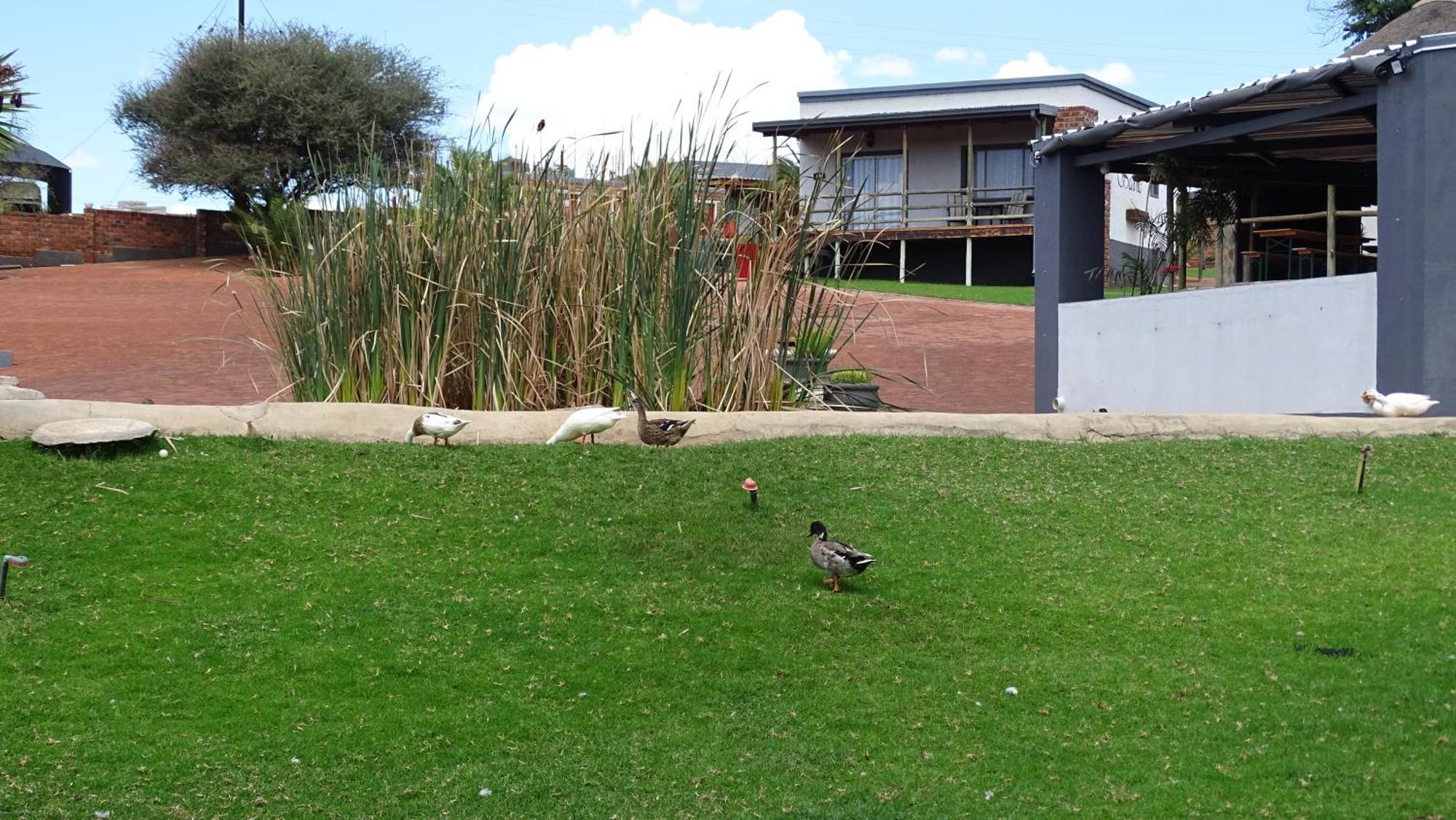 Eden Chalets Windhoek Eksteriør bilde